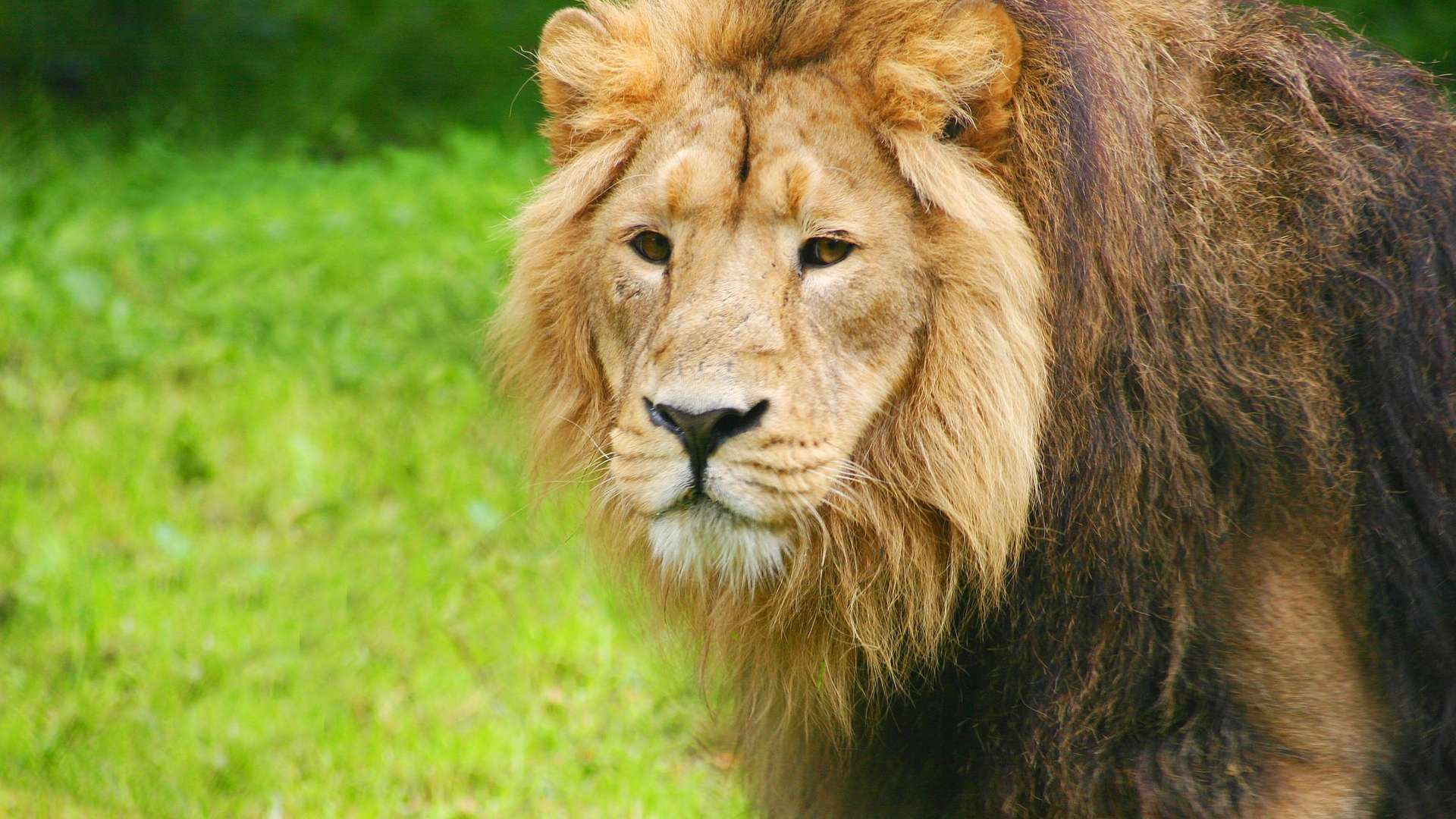 Chester Zoo
